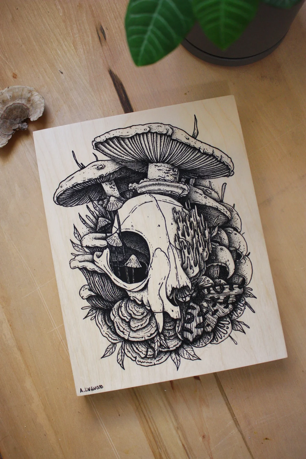 Ink illustration of a cat skull surrounded by mushrooms, fungi and a moth