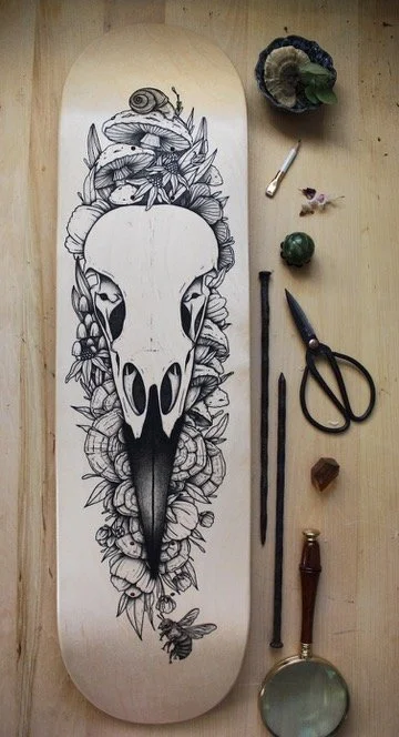 Ink illustration of a bird skull with mushrooms and a bee on a skateboard deck